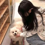 幻兽归来郭富城代言下载